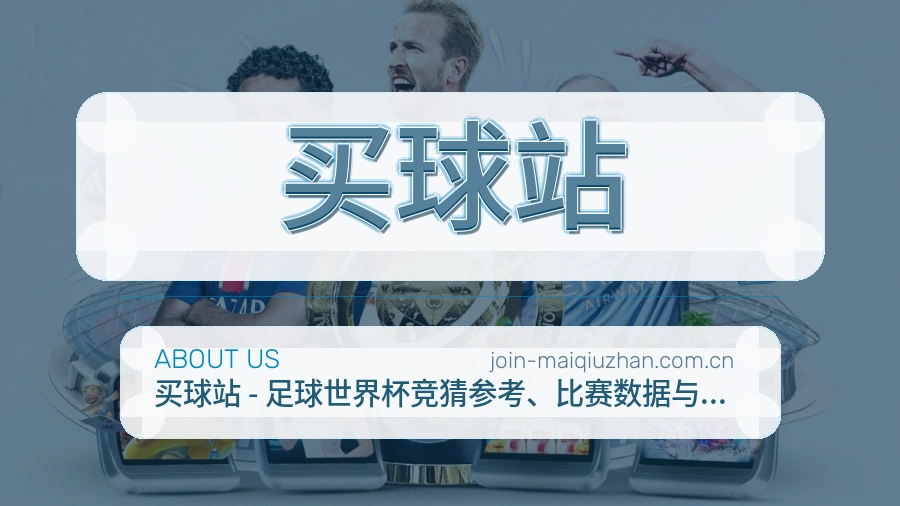 关于 买球站